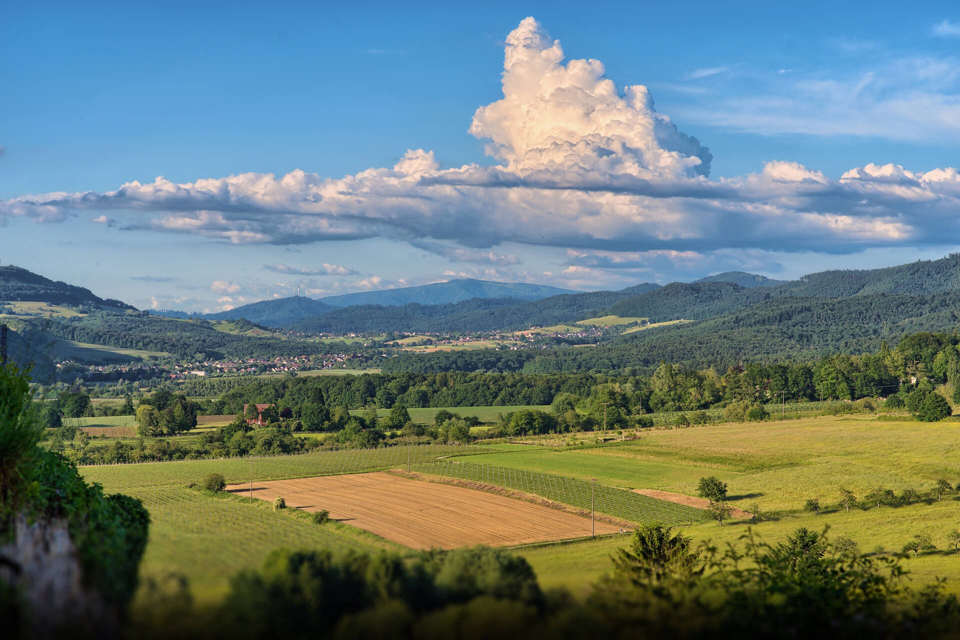 Blick über das Hexental und den südlichen Schwarzwald bei Bollschweil