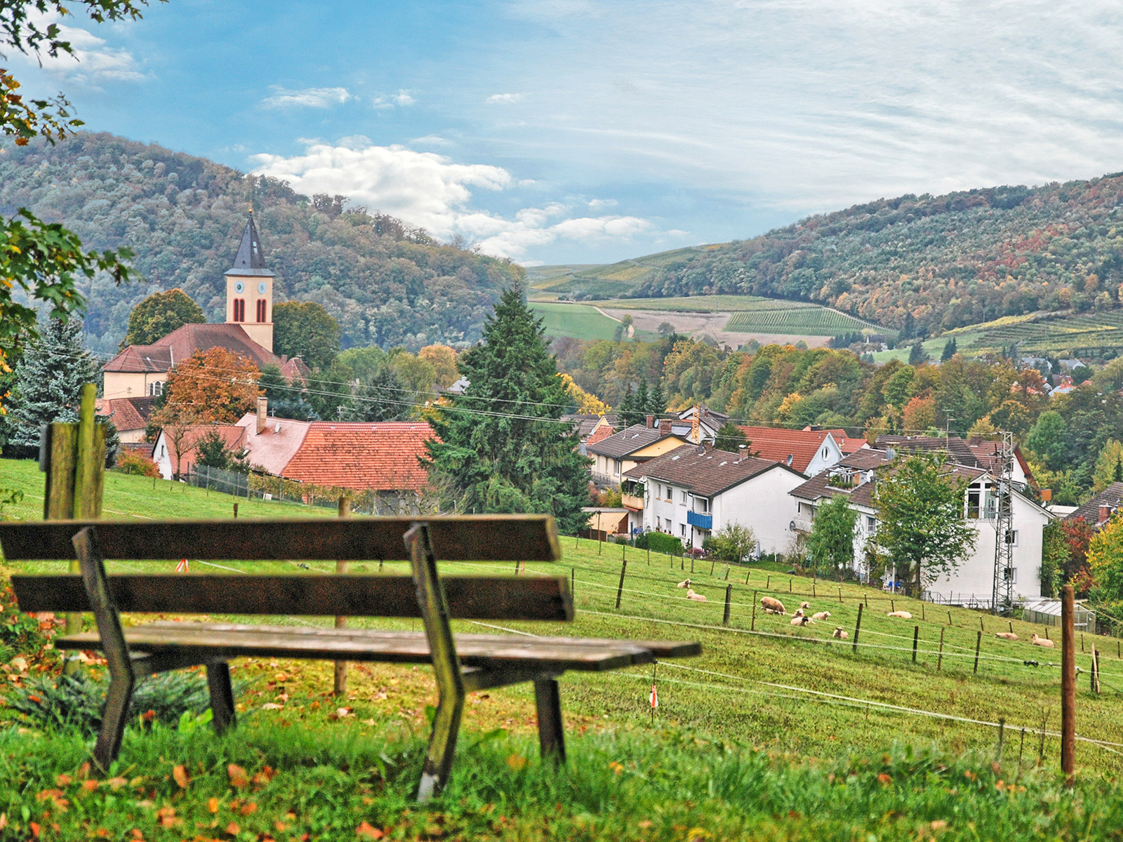 Blick ins Hexental bei Bollschweil