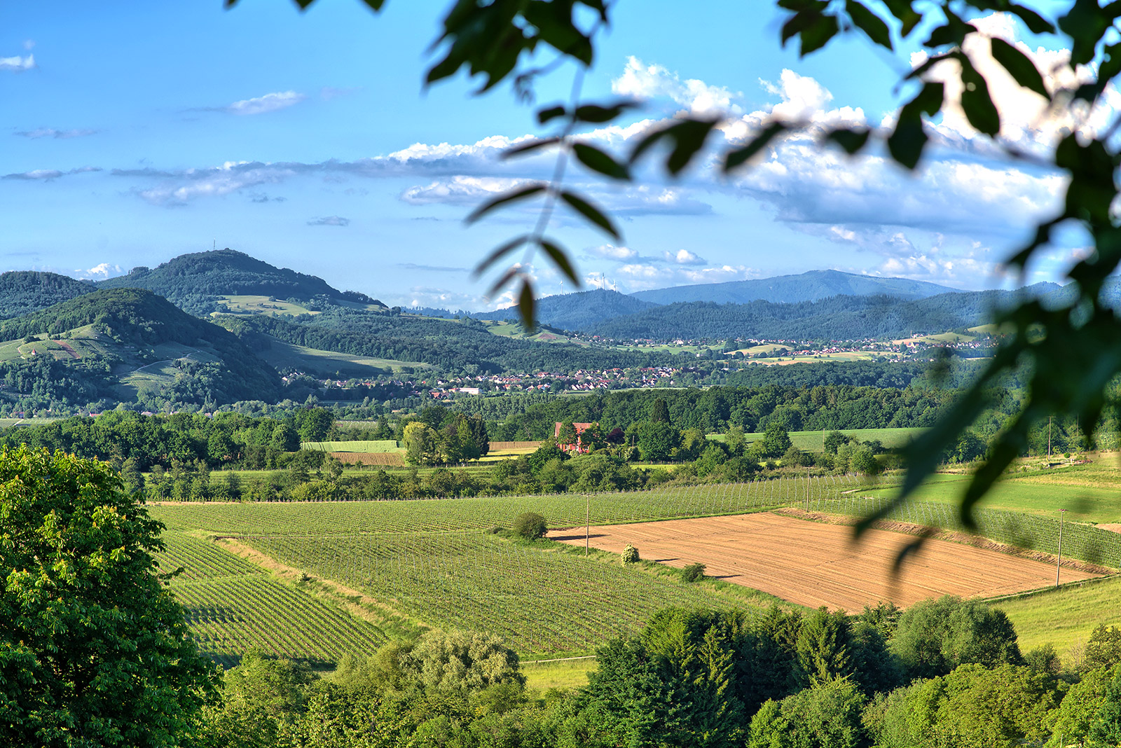 Ausblick auf Bollschweil